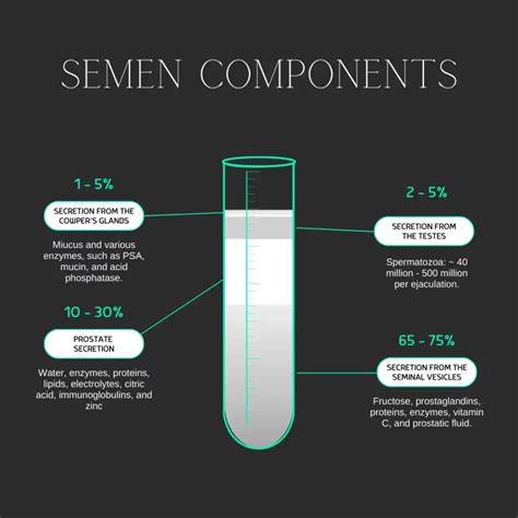 The Components of Semen .